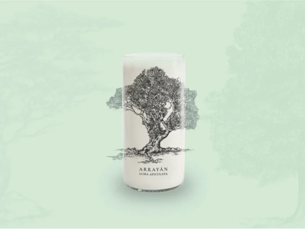 Juego de 6 Vasos Árboles de Chile - Imagen 2