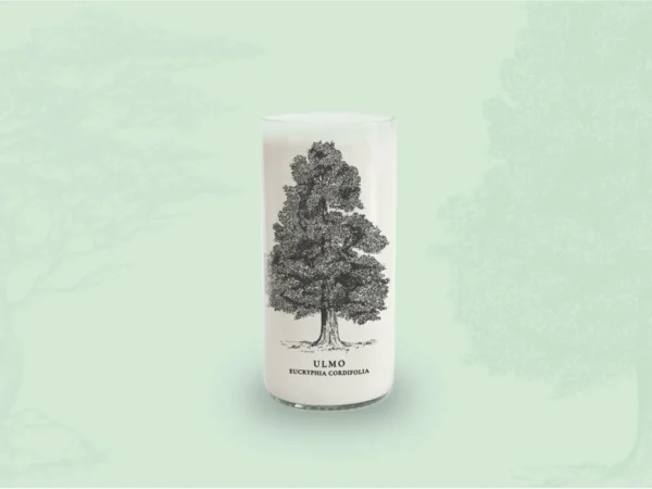 Juego de 6 Vasos Árboles de Chile - Imagen 3
