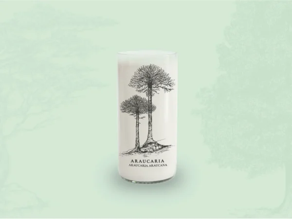 Juego de 6 Vasos Árboles de Chile - Imagen 5