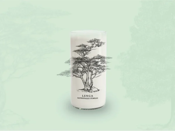 Juego de 6 Vasos Árboles de Chile - Imagen 6