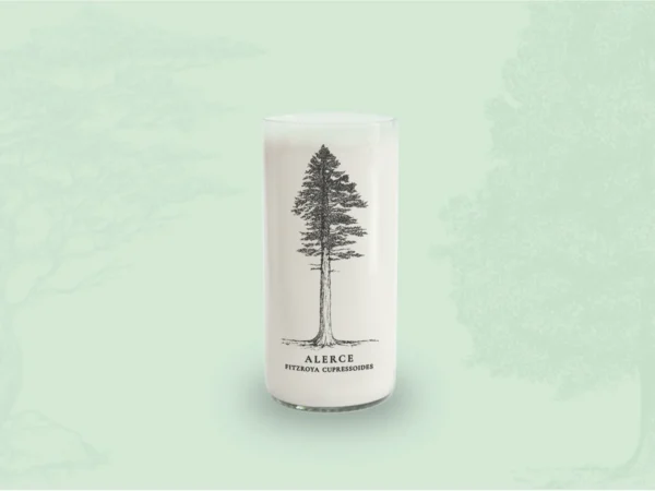 Juego de 6 Vasos Árboles de Chile - Imagen 7