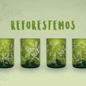 Reforestemos Mini Juego de 4 Vasos