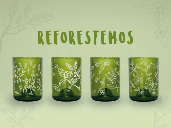 Reforestemos Mini Juego de 4 Vasos